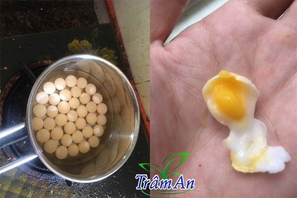 trứng ba ba luộc