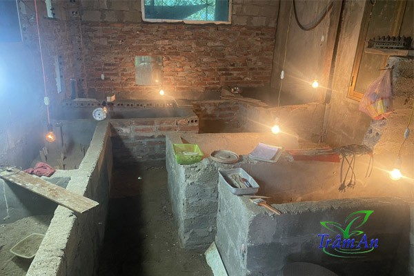 Phòng ấp trứng ba ba gai