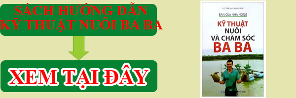 Sách hướng dẫn nuôi ba ba