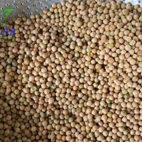 Hạt đậu Hà Lan khô