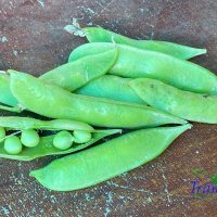 Hạt đậu Hà Lan non