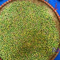 Hạt đậu Ha Lan tươi